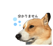 864684714