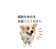 864684717