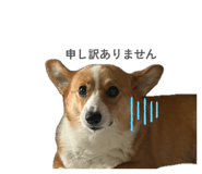 864684719