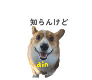 864684720