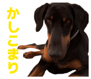 864684777