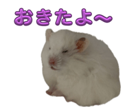 864684863