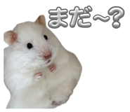 864684868