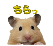 864684872