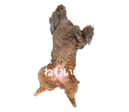 864684901