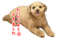 864686012