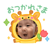 864687513