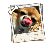 864687567