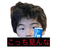 864687747