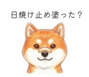 864687929