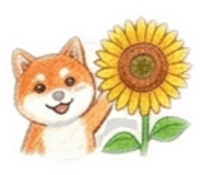 864687948