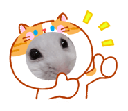 864687977