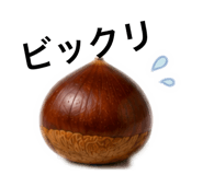 864688020