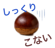 864688023