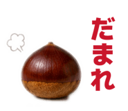 864688025