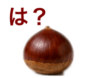 864688027