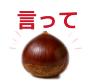 864688029