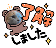 864688230