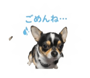 864688302