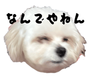 864689958