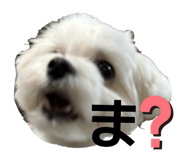 864689965