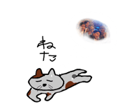 864690455