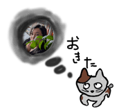 864690456