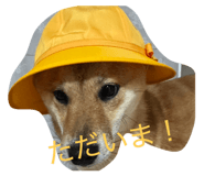 864691770
