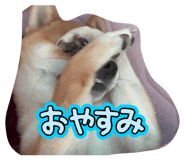864691771