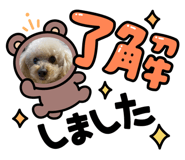 864691912