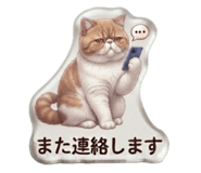 864692548