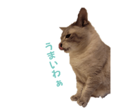 864692555