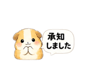 864692690