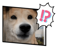 864692747