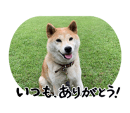 864692753