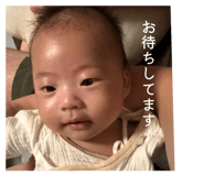 864693384
