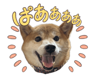 864693453
