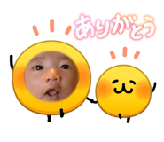 864693475