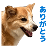 864693681