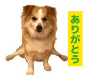 864693687