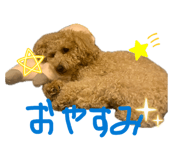 864693694