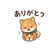 864697003
