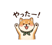 864697008