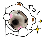 864697738