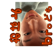 864697981