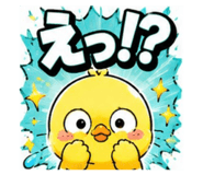 864698045