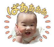 864698228