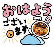 864700599