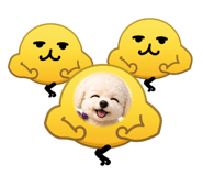 864700615