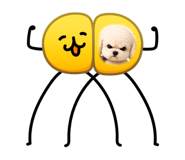 864700619